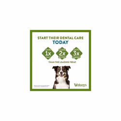 WHIMZEES By Wellness Toothbrush, Month Box, Natural and Grain-Free Dog Chews, Dog Dental Sticks for Large Breeds, 30 Pieces (One Month Supply), Size L