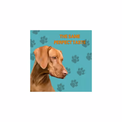 Peamutt Dog Peanut Butter Special Edition | 1 x 340 g | No Sweeteners | Dog Friendly Texture | Perfect Dog Treat | Peanut Butter for Dogs