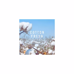 Febreze Ambi Pur 3Volution Air Freshener Plug-In Diffuser Refill, Odour Eliminator, Cotton Fresh, 40 ml, (20 ml x 2)