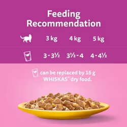 Whiskas 1+ Adult Poultry Selection in Jelly 40 Pouches, Adult Wet Cat Food, Megapack (40 x 85 g)