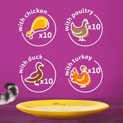 Whiskas 1+ Adult Poultry Selection in Jelly 40 Pouches, Adult Wet Cat Food, Megapack (40 x 85 g)