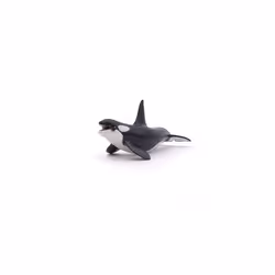 Papo 56000 Killer Whale Figure