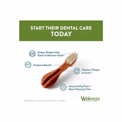 WHIMZEES By Wellness Toothbrush Month Box Natural Grain-Free Dog Chews Dog Dental Sticks for Medium Breeds 30 Pieces (One Month Supply) Size M