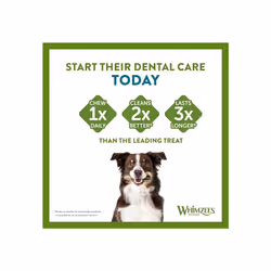 WHIMZEES By Wellness Toothbrush Month Box Natural Grain-Free Dog Chews Dog Dental Sticks for Medium Breeds 30 Pieces (One Month Supply) Size M