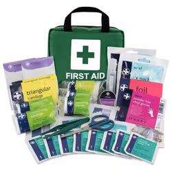 Lewis-Plast Premium First Aid Kit For Home Car Holiday And Workplace - Includes Bandages, Eye Pods, Ice Packs And Essentials ...