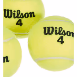 Wilson Champ Extra Duty Tennis Balls