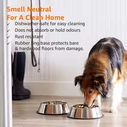 Amazon Basics Dog Bowls for Food and Water, Stainless Steel, 2 Count, Silver