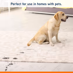 Vax Platinum Antibacterial 1.5L Carpet Cleaner Solution |Kills 99.99% of Bacteria | Neatralises Pet Odours - 1-9-142404, Blue