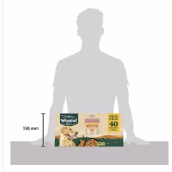 WINALOT Sunday Dinner Mixed in Gravy Wet Dog Food 40x100g