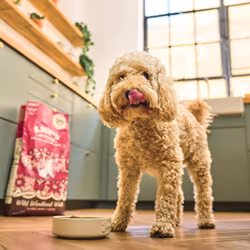 Lily's Kitchen Made with Natural Ingredients Adult Dry Dog Food Duck Salmon & Venison Grain-Free Recipe 2.5kg Bag