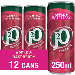 J2O Fruit Juice, Apple and Raspberry, 250ml Cans (Pack of 12)