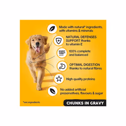 Pedigree Adult - Wet Dog Food - for Adult Dogs - Can Mixed Selection in Gravy - 12 x 400 g