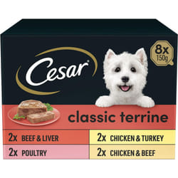 Cesar Classic Terrine in Jelly 24 Trays Adult Premium Wet Dog Food Mixed Selection Pack of 3  is 8 and 150 g