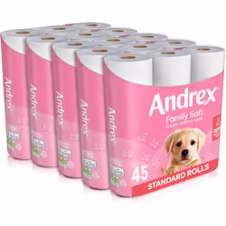 Andrex Family Soft Toilet Tissue 45 Rolls (Previously Andrex Gentle Clean) Gentle on your Familys skin Bulk Pack of 45 Toilet Rolls, FSC Certified