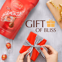 Lindt Lindor Milk Chocolate Truffles Bag Approx 80 balls 1kg Smooth Melting Filling Gift Present or Sharing Box Easter Birthday Congratulations