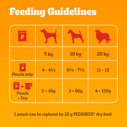 Pedigree Mixed Selection in Jelly 40 Pouches, Adult Wet Dog Food, Megapack (40 x 100 g)
