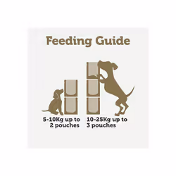 Applaws Natural Wet Dog Food Pouch, Grain Free Mixed Selection in Gravy 6 x 85g Pouches (Pack of 2)