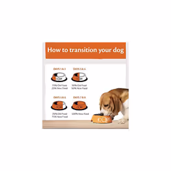 Wellness CORE Adult Lamb 1.8kg Lamb Dry Dog Food for All Dog Breeds All-Natural Grain-Free High Meat Content Protein-Rich Supports Healthy Digestion