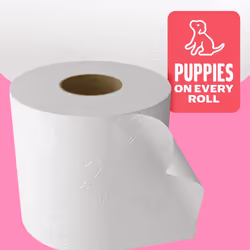 Andrex Family Soft Toilet Tissue 45 Rolls Previously Andrex Gentle Clean Gentle on your Familys skin Bulk Pack of 45 Toilet Rolls FSC Certified
