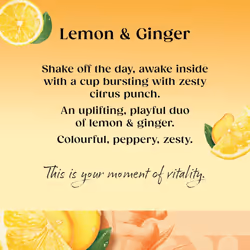 Twinings Lemon & Ginger Flavoured Tea 320 Biodegradable Bags (Multipack of 4 x 80) Caffeine-Free Herbal Tea with Zesty Lemon & Spicy Ginger Flavor