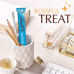 Lindt Lindor Salted Caramel Chocolate Bar 38 g (Pack of 24)