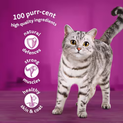 Whiskas 1+ Adult Classic Selection in Gravy 84 Pouches, Adult Wet Cat Food, Megapack (84 x 85 g)
