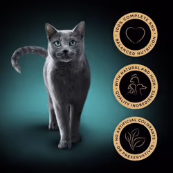 SHEBA Select Slices Poultry Adult Wet Cat Food Pouches 40 x 85 g, 40 Gravy Pouches, Bulk Cat Food Megapack