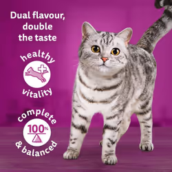 Whiskas Tasty Duo 1+ Surf and Turf in Jelly 40 x 85 g Pouches, Adult Cat Food