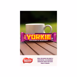 NestlÃ© Yorkie Raisin and Biscuit Milk Chocolate Bars, 24 x 44 g