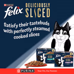 Felix Deliciously Sliced Adult Wet Cat Food Mixed Selection 12x80g, Pack of 4