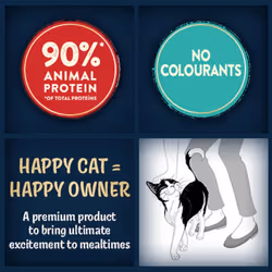 Felix Deliciously Sliced Adult Wet Cat Food Mixed Selection 12x80g, Pack of 4