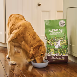 Lilys Kitchen Made with Natural Ingredients Adult Dry Dog Food Shepherds Pie Balanced Recipe 2kg Bag