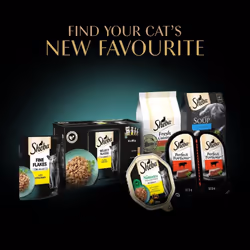 Sheba Fine Flakes Cat Food Tray Collection with Salmon & Chicken in Jelly 8x85g