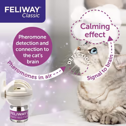 Feliway Classic 30 Day Refill 48ml Feliway Classic Refill For Plug In Anxiety Relief Pheromone Diffuser Cats Calm Your Cat & Reduce Behavioural