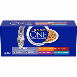 PURINA ONE Mini Fillets Mixed Selection in Gravy Wet Cat Food 40x85g
