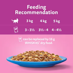 WHISKAS - 1+- Adult Wet Cat Food Pouches - 40 x 85 g - Fish in Jelly - Bulk Cat Food Megapack - 40 Pouches