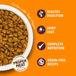Lily's Kitchen Made with Natural Ingredients Adult Dry Cat Food Bag Chicken with Veggies Grain-Free Recipe 2kg