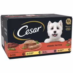 CESAR Adult Premium Wet Dog Food 3 x 8 x 150 g Classic Terrine in Jelly 24 Food Trays Bulk Pack