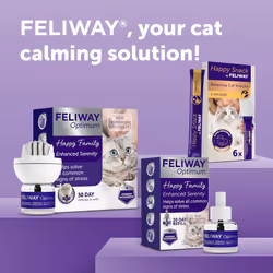 Feliway Optimum 30 Day Refill 48ml Plug In Anxiety Relief Diffuser For Cats Calm Your Cat & Reduce Behavioural Issues & Stress With Feliway Optimum