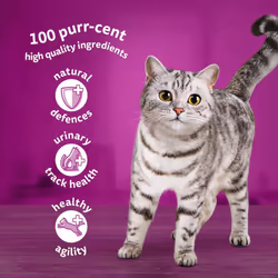 Whiskas 7+ Senior Poultry Selection in Jelly 120 Pouches, Senior Wet Cat Food, Megapack (120 x 85 g)