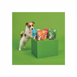 Lilys Kitchen Made with Natural Ingredients Adult Dog Treats Packet Time for School Training Treats with Chicken & Beef 8 x 70g