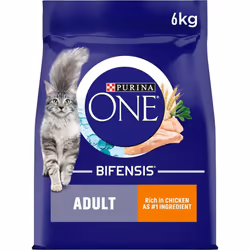 Purina ONE Adult Dry Cat Food Rich in Chicken 6kg, Packaging may vary