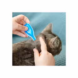 Beaphar FIPROtec Spot-On Kills Fleas Ticks Vet Strength Treatment Easy to Apply Suitable for Cat Kittens 8 Weeks Age Weighing more than 1kg 4 Pipettes