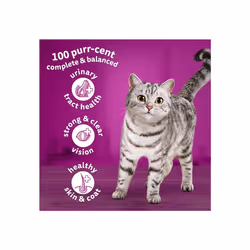 Whiskas 1+ Adult Chicken, Adult Dry Cat Food , 7 kg ( Pack of 1)