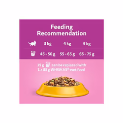 Whiskas 1+ Adult Chicken, Adult Dry Cat Food , 7 kg ( Pack of 1)