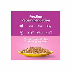 Whiskas 1+ Adult Poultry Selection in Jelly 40 Pouches, Adult Wet Cat Food, Megapack (40 x 85 g)