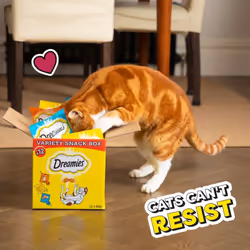 Dreamies Cat Treats Variety Pack, snacks with chicken, salmon flavour and cheese, Pack of 12 (12 x 60 g)