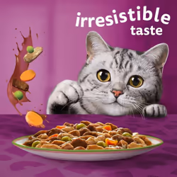 Whiskas Tasty Mix 1+ChefÂ´s Choice in Gravy 40 x 85 g Pouches, Adult Cat Food