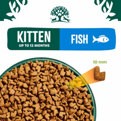 James Wellbeloved Junior Fish 1.5 kg Bag, Hypoallergenic Kitten Dry