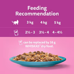 Whiskas Tasty Duo 1+ Ocean Delight in Jelly 48 x 85 g Pouches, Adult
